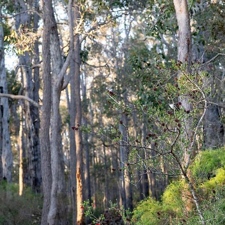 Jarrah Grove Forest Retreat - Adults Only Luxury Chalet Rosa Glen Ngoại thất bức ảnh
