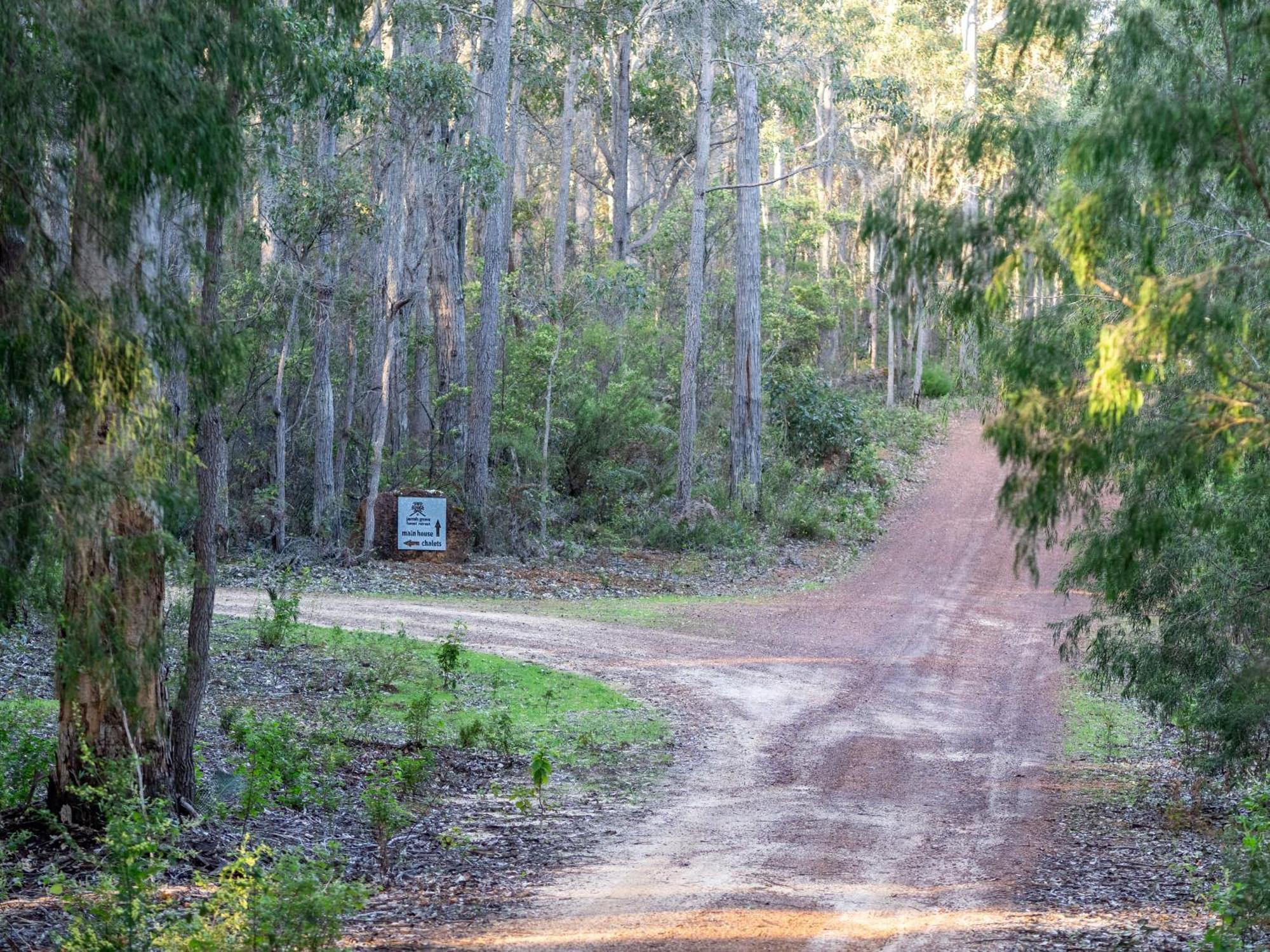 Jarrah Grove Forest Retreat - Adults Only Luxury Chalet Rosa Glen Ngoại thất bức ảnh