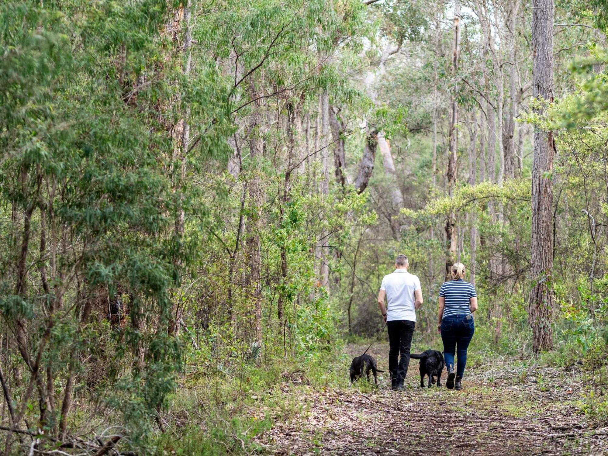 Jarrah Grove Forest Retreat - Adults Only Luxury Chalet Rosa Glen Ngoại thất bức ảnh