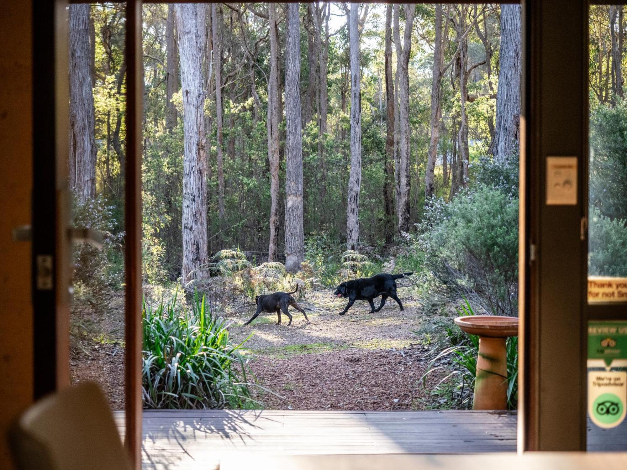 Jarrah Grove Forest Retreat - Adults Only Luxury Chalet Rosa Glen Ngoại thất bức ảnh