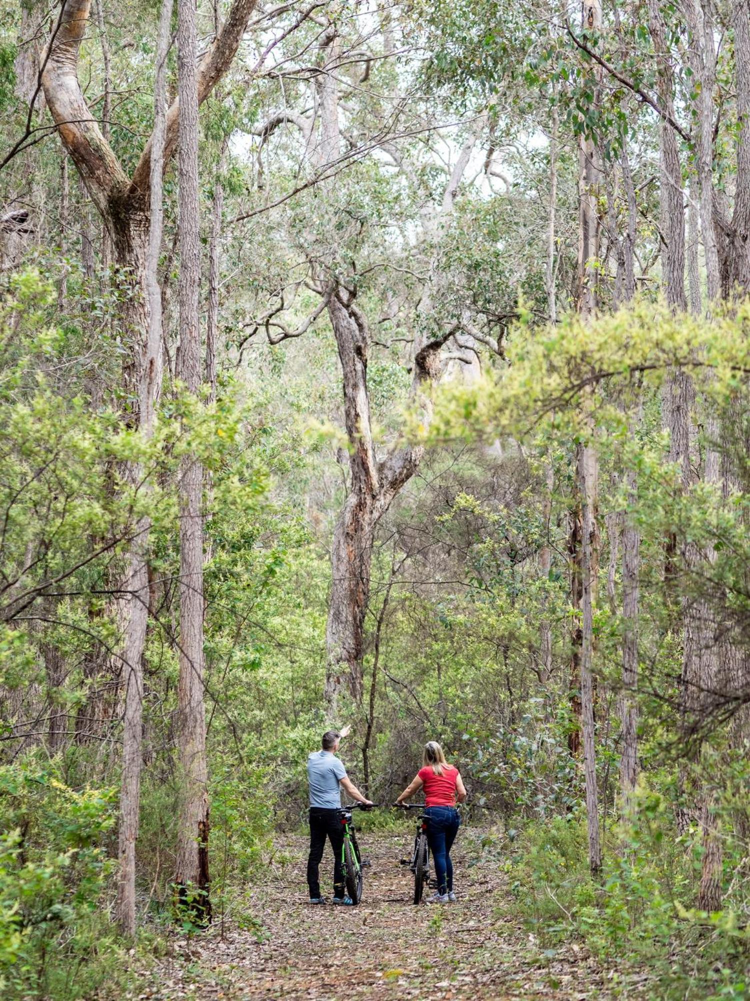 Jarrah Grove Forest Retreat - Adults Only Luxury Chalet Rosa Glen Ngoại thất bức ảnh